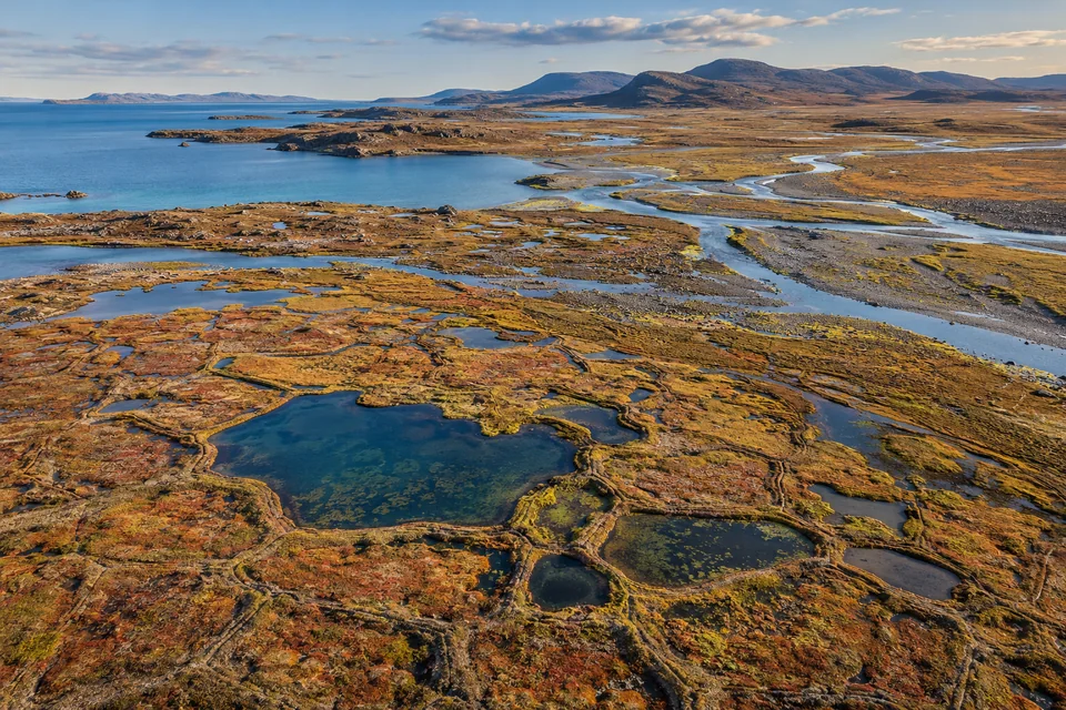 Shallow blue ponds and low patterned vegetation surround a river on an imagined Arctic coastal plain.
